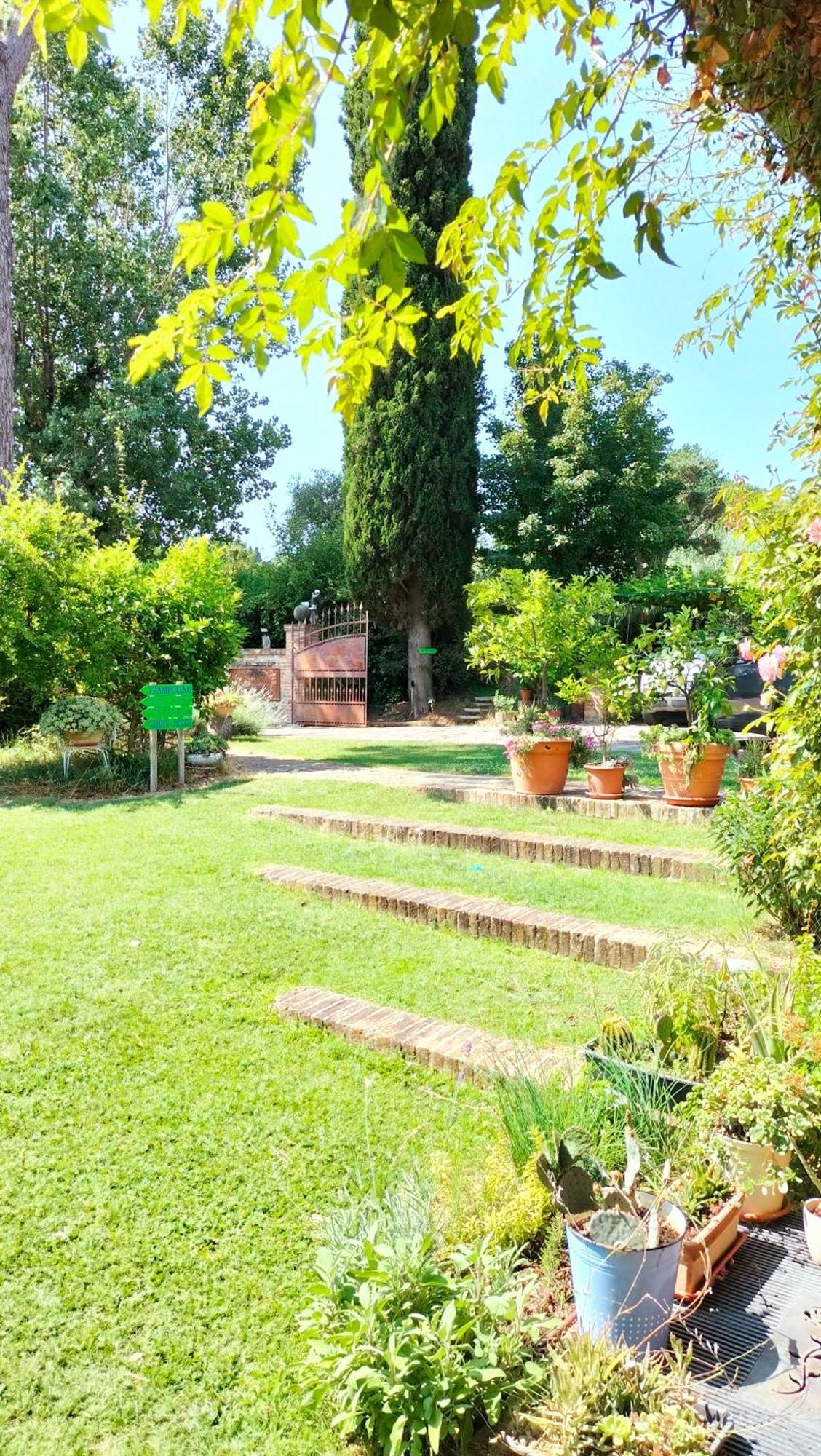 קוריאנו Ca' Dei Gelsi B & B מראה חיצוני תמונה