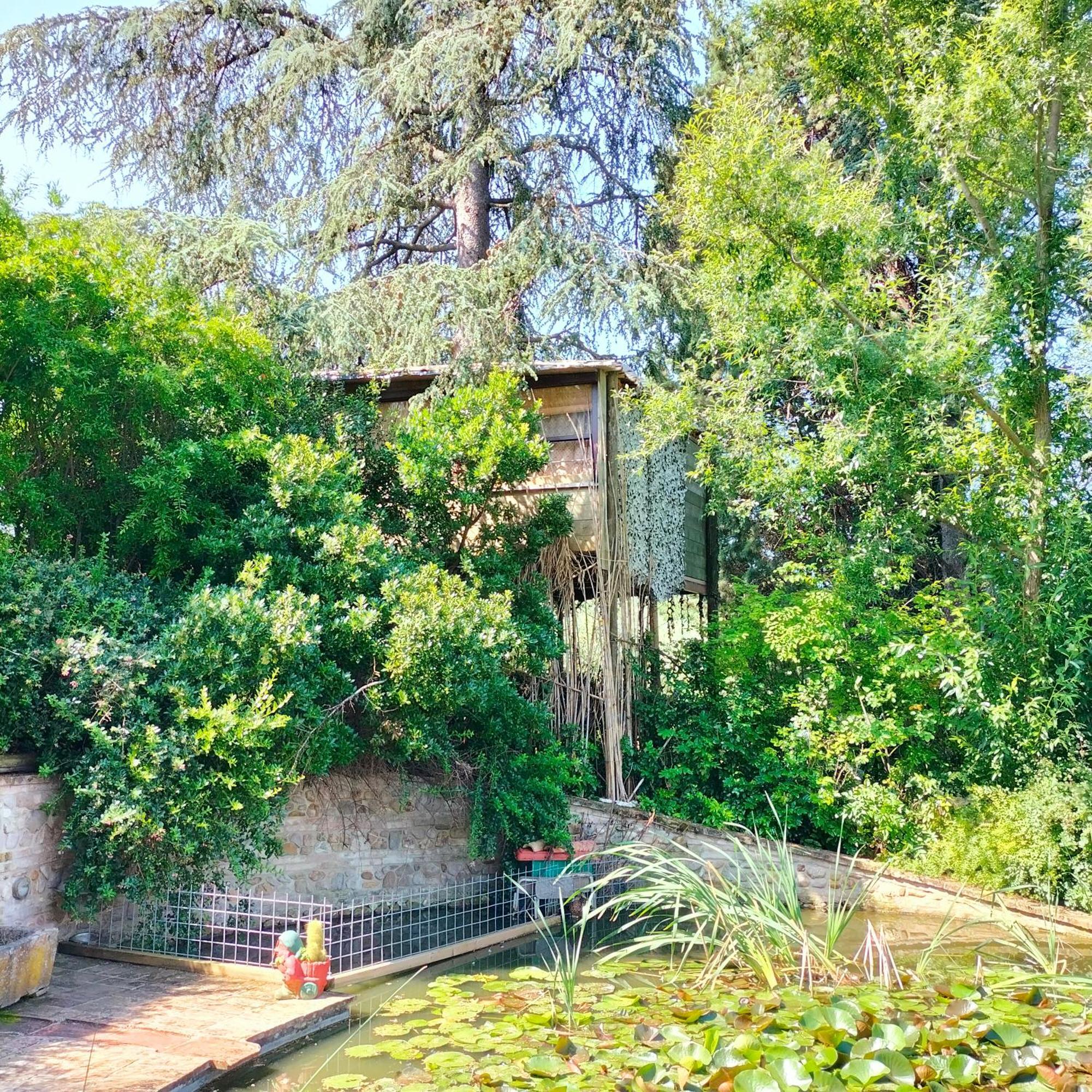 קוריאנו Ca' Dei Gelsi B & B מראה חיצוני תמונה